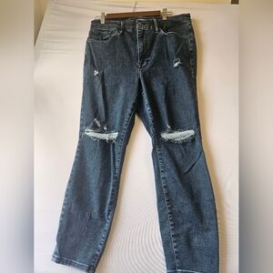 Good American Size 14-18 Blue Relaxed Distressed Jeans